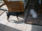 Enlarge photo 9