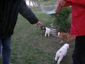 Enlarge photo 11