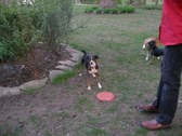 Enlarge photo 16