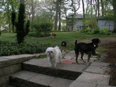 Enlarge photo 19