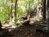 Enlarge photo 20