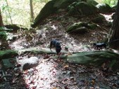 Enlarge photo 21