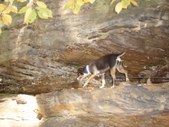 Enlarge photo 24