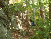 Enlarge photo 16