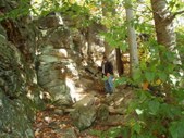 Enlarge photo 17
