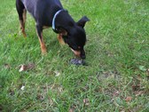 Enlarge photo 12