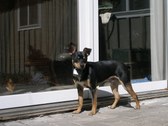 Enlarge photo 5