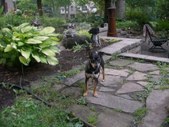 Enlarge photo 7