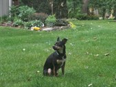 Enlarge photo 13