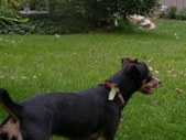 Enlarge photo 21