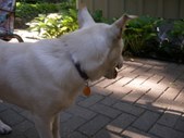 Enlarge photo 3