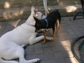 Enlarge photo 9