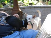 Enlarge photo 12