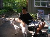 Enlarge photo 14