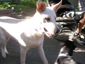 Enlarge photo 15