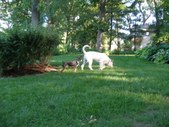 Enlarge photo 19