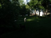 Enlarge photo 20