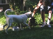 Enlarge photo 23