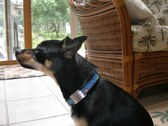 Enlarge photo 8