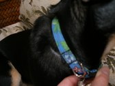 Enlarge photo 11