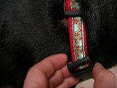 Enlarge photo 12