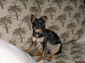 Enlarge photo 17