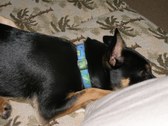 Enlarge photo 19