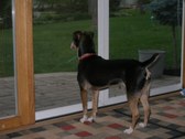 Enlarge photo 22