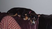 Enlarge photo 11