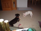 Enlarge photo 8