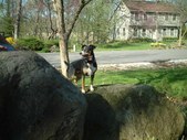 Enlarge photo 6