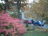 Our Old House in West chicago