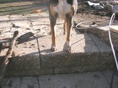 Enlarge photo 3