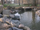 Enlarge photo 13