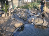 Enlarge photo 17