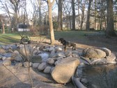 Enlarge photo 20