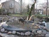 Enlarge photo 21