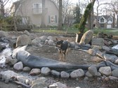 Enlarge photo 22