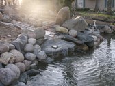 Enlarge photo 23