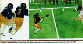 Enlarge photo 30