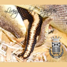Enlarge photo 28