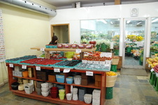 Enlarge photo 11