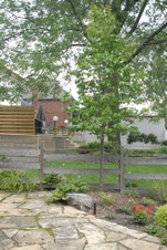 Enlarge photo 26