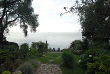 Enlarge photo 30