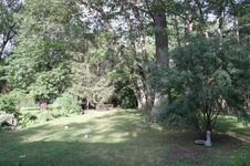 Enlarge photo 11