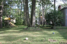 Enlarge photo 13