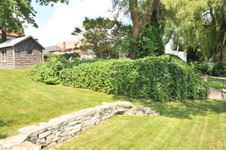 Enlarge photo 14