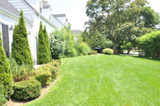 Enlarge photo 28
