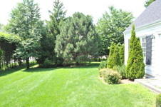 Enlarge photo 36