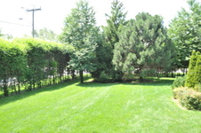 Enlarge photo 38